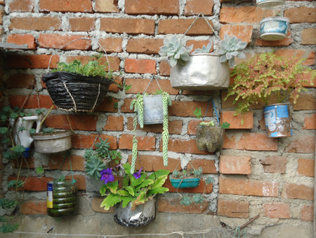 Flower pots on a brick wall in a rural house, Vietnamの写真素材