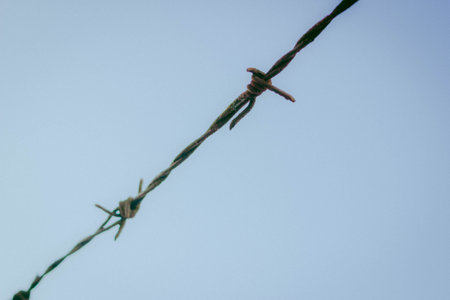 Barbed wire on blue sky background. Barbed wire on blue sky background.の写真素材