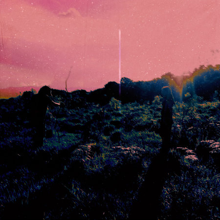 grunge image of a cactus in a field at sunsetの写真素材