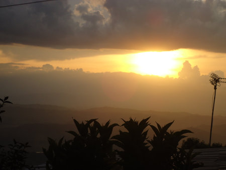 Sunset over the mountains with silhouette of palm trees in the foregroundの写真素材