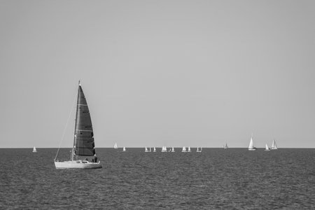 Sailing boat and some little white boats in a race in RÃ­o de la Plata quiet waters at summer. Near Buenos Aires, Argentinaの写真素材