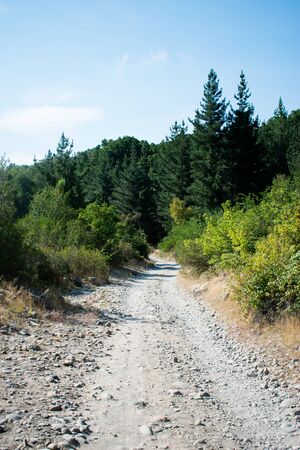 Path by Sebastian Lagos Mountainsの写真素材