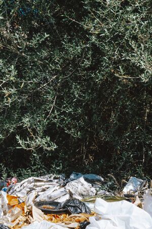Ecological crisis. Different garbage and trash on a ground in the forestの写真素材