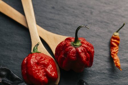Hottest pepper in the world. Trinidad Scorpion Butch, thousands of times more spicy than Havana. On black slate background, with natural light. Spicy dark food food concept. An extreme spicy.の写真素材