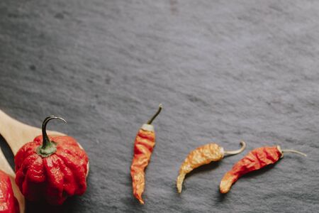 Hottest pepper in the world. Trinidad Scorpion Butch, thousands of times more spicy than Havana. On black slate background, with natural light. Spicy dark food food concept. An extreme spicy.の写真素材