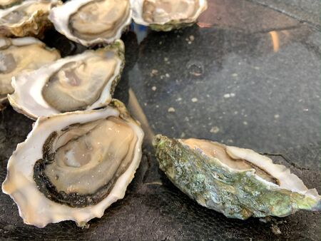 Oysters made great and delicious by expert chefs