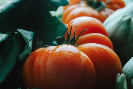 Tomato beef heart over artichokes, chard and fennel. Natural raw food. Slow food.の写真素材