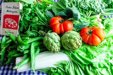 Natural raw vegetables on blue table. Slow food.の写真素材
