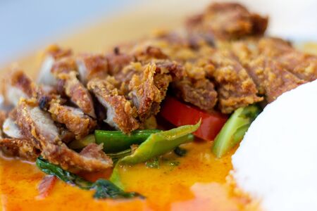 close up thai duck dish with rice and curry sauceの写真素材