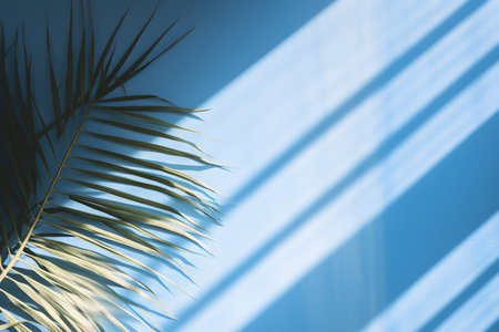 Blurred shadow from palm leaves on the blue wall.の素材