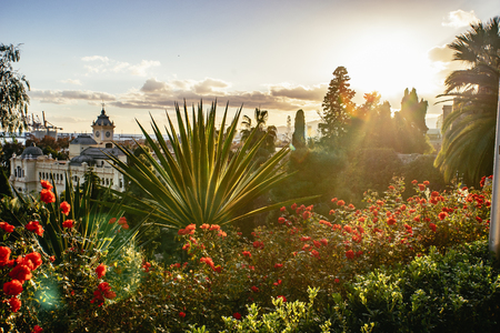 Sunset in Malaga. Beautiful viewing point with flowers.の写真素材