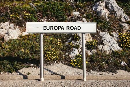 Front view of EUROPA ROAD sign beside road in front of rocky surface covered in flowers and small plantsの写真素材