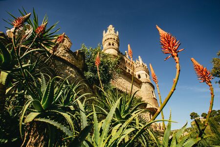 Looking up at the facade of Castillo de Colomarの写真素材