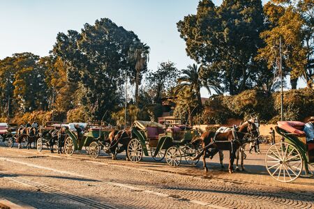 Horse drawn carriages for tourists in Marrakechの写真素材