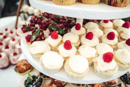 Delicious miniature cakes in buffet trays. Fruit decorated cupcakes. Various desserts at party. Celebration, party, birthday or wedding concept.の写真素材