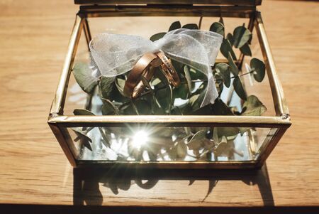 Pair of wedding ring bonded with white ribbon laying at green plant twigs in glass box. Wooden background. Wedding day concept.の写真素材