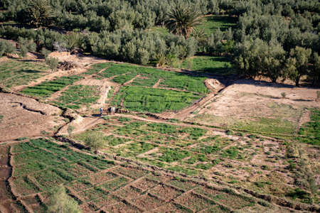 Aerial view of agricultural landscape during sunny dayの写真素材