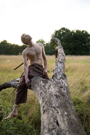 Full length of shirtless man looking up while sitting on log against clear sky in forestの写真素材