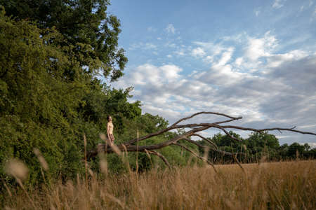 Side view of shirtless man kneeling on log over plants cloudy sky in forestの写真素材