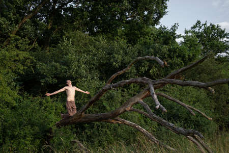 Shirtless man with arms outstretched kneeling on log against trees in forestの写真素材