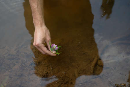 Cropped hand of man holding purple flower over lake in forestの写真素材