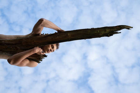 Low angle view of man sleeping on log against cloudy sky in forestの写真素材