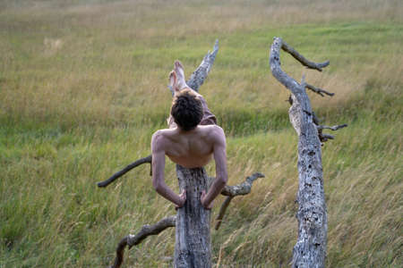 Rear view of shirtless man sitting on log over grassy land in forestの写真素材