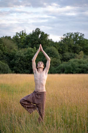Shirtless man practicing tree pose while standing on landscape in forestの写真素材
