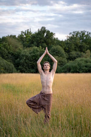 Shirtless man practicing tree pose while standing amidst plants on landscape in forestの写真素材