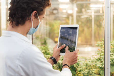 Rear view of Caucasian male scientist taking photo of green plants in glasshouseの写真素材