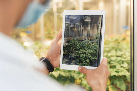 Close up of young researcher taking photograph of plants through digital tablet in greenhouseの写真素材