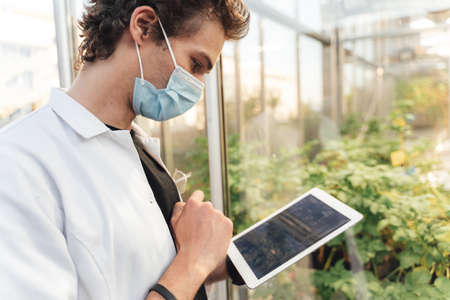 Side view of young male scientist using digital tablet to analyze plant health in greenhouse during...