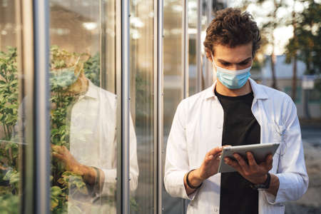 Male researcher wearing mask while monitoring plant growth with tablet computer at glasshouseの写真素材