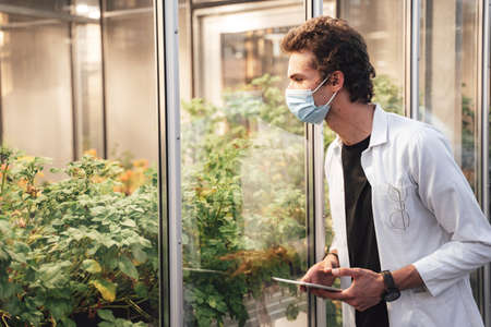 Caucasian male researcher with digital tablet observing the growth progress of plants in glasshouse during COVID-19 outbreakの写真素材