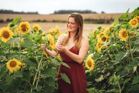 Beautiful young woman examining sunflower in field on sunny dayの写真素材