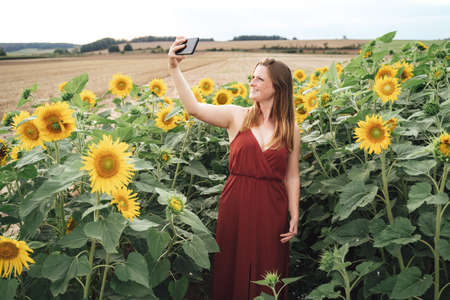 Young woman smiling while taking selfie with mobile phone in sunflowers fieldの写真素材