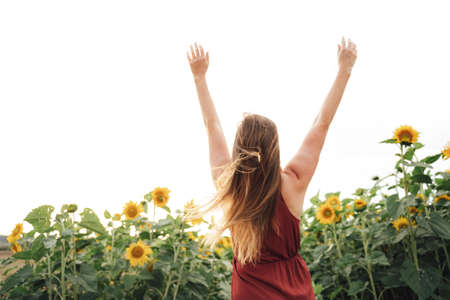 Rear view of young blond woman with arms raised enjoying her freedom in sunflower field against skyの写真素材