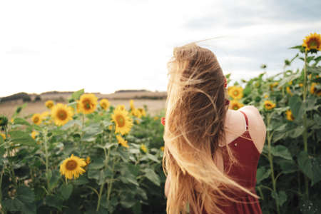 Rear view of Caucasian young woman with long blond hair enjoying sunflower field on sunny dayの写真素材