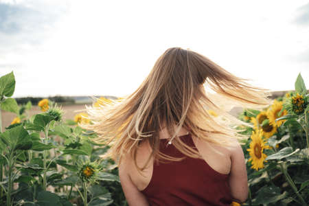 Rear view of Caucasian young woman tossing her long blond hair in sunflower fieldの写真素材