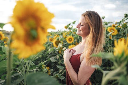 Side view of smiling Caucasian woman with long hair standing in beautiful sunflower fieldの写真素材