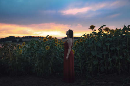 Full length side view of Caucasian young woman in dress standing by sunflower plants growing in field during sunsetの写真素材