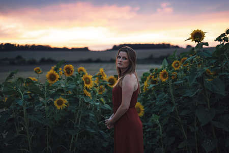 Portrait of European young woman standing by beautiful sunflowers blooming in farm during sunsetの写真素材