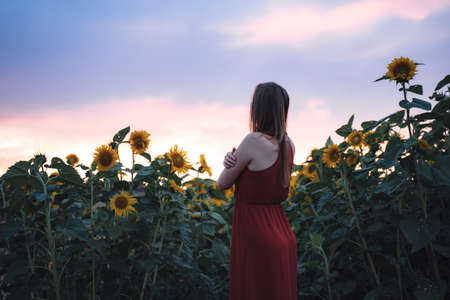 Rear view of relaxed young woman in dress standing near sunflower plants in farm against sky during sunsetの写真素材
