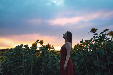 Side view of relaxed young woman in dress standing by sunflower plants growing in field during sunsetの写真素材