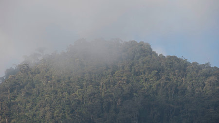 green mountains with clouds in the ecuadorian alpsの写真素材