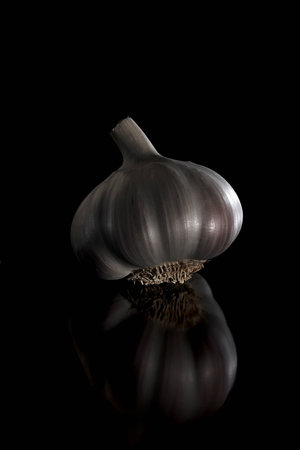 White garlic bulb on a black backgroundの写真素材
