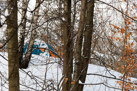 View of a tent behind trees in forest in winterの写真素材