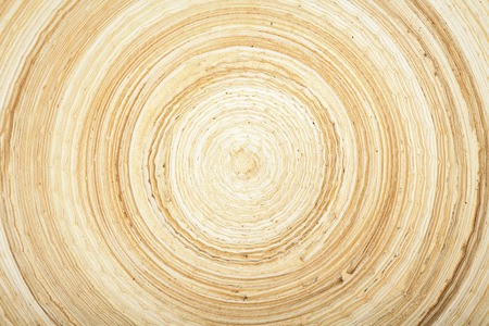 beatyful texture of natural modern wood circle ringsの写真素材