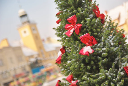 Large and natural outdoor Christmas tree with red bows during a sunny dayの写真素材