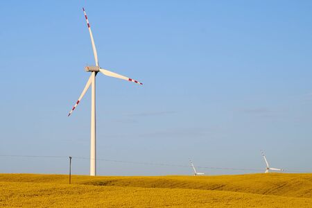 wind turbines in the rape field at sunny day with blue sky